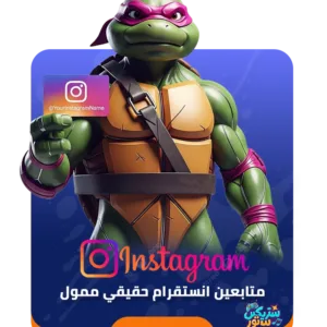 متابعين انستقرام ممول